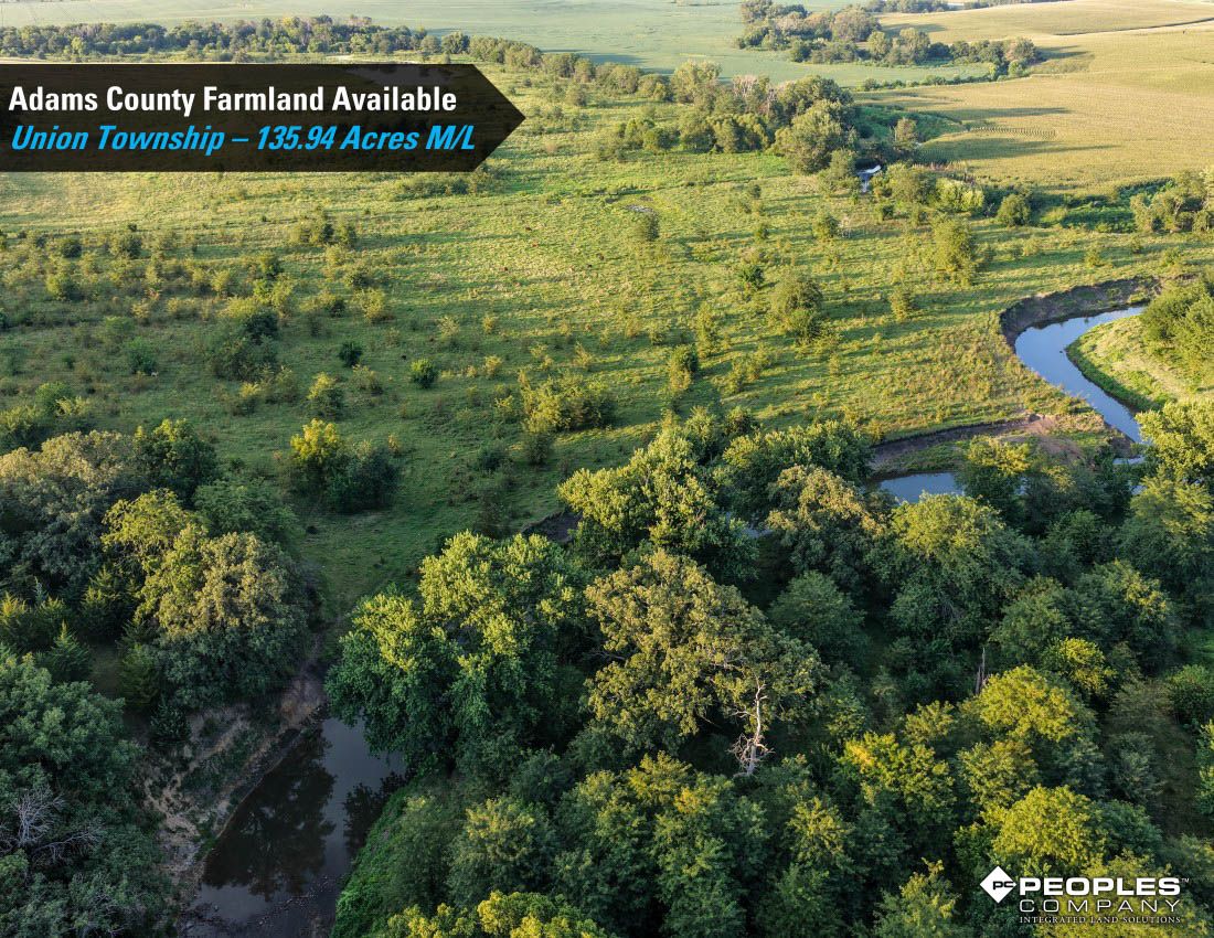 Listing Photo: Adams-County-Iowa-Farmland-Available-136-Acres-Blazek-Estate-19707 (18)